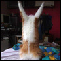 1:43. Very Funny Cats 2 for more click on link in blu. 1,455,870 views. Twodaystogo. 2:46. Funny Cats. 18,679,269 views. Kjpar7. Loading. See all 60.